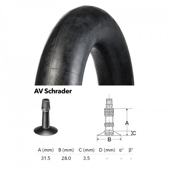10x2 Kenda AV Schrader